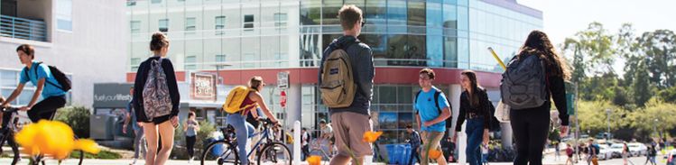 경쟁 치열…1곳 이상 지원해야 안심