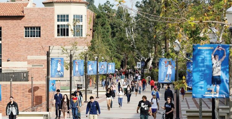 버클리는 사회학, LA는 공학 인기