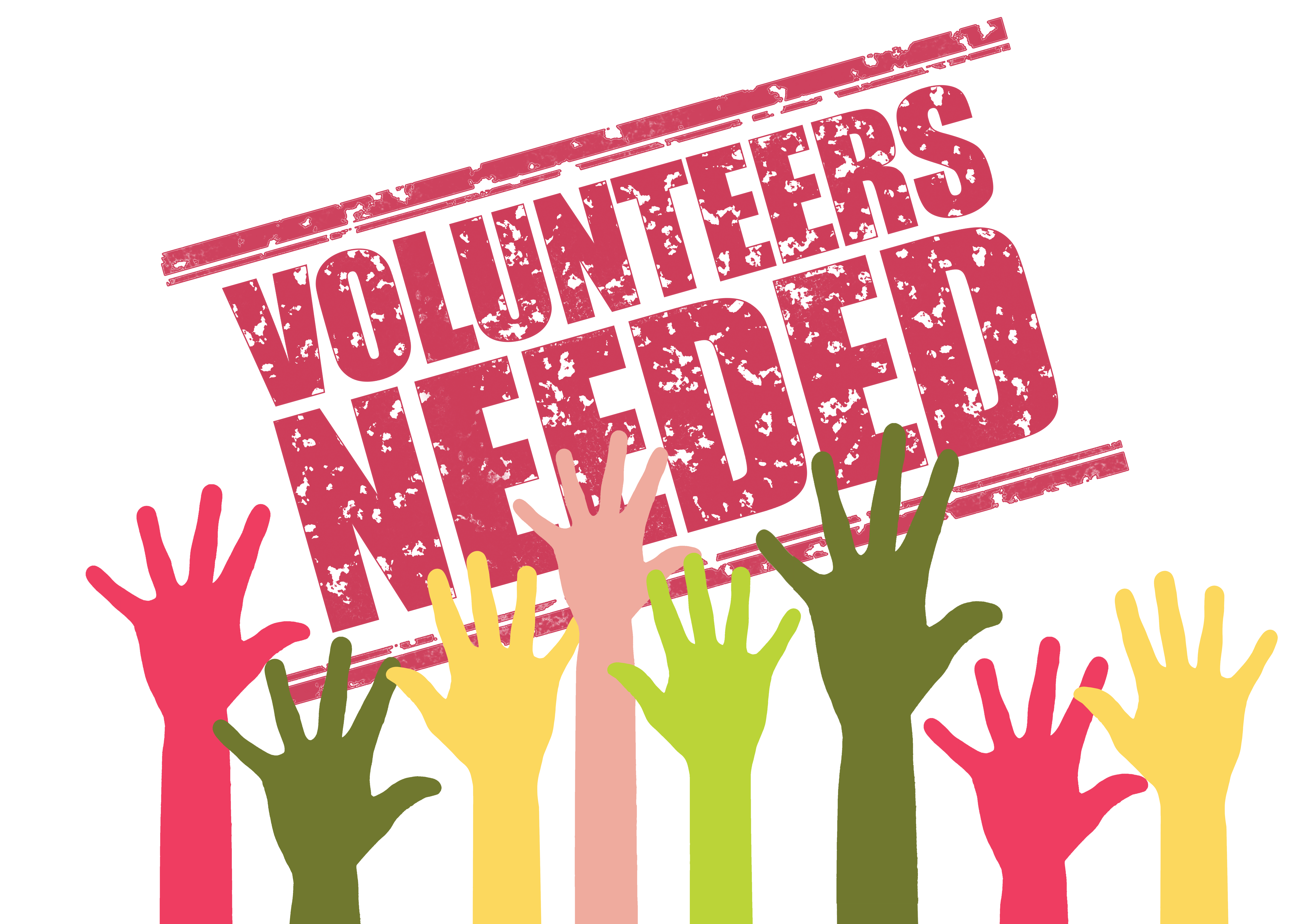 COVID-19 온라인 봉사활동 volunteers, search, application