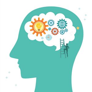 공부 잘하는 뇌 만들기① 세상이 파랗다…렌즈가 파란 게 아니고?