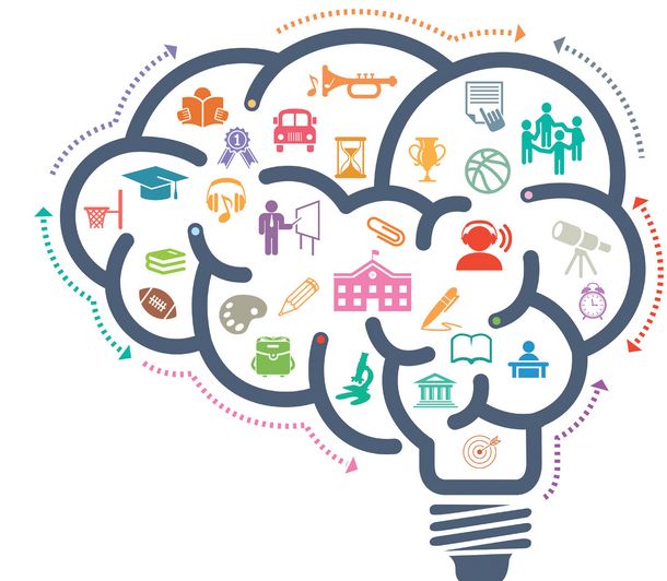 공부 잘하는 뇌 만들기… 자녀 뇌 유형에 맞는 학습 전략을 짜라