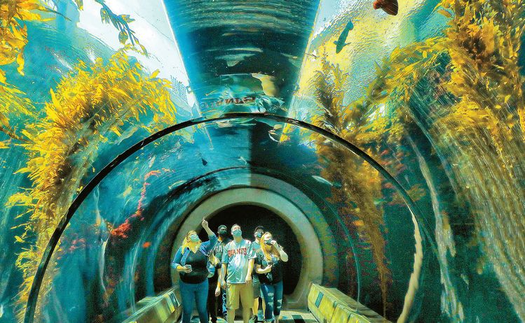 자녀와 함께하는 교실밖 다양한 체험 교육… 서머캠프 제공