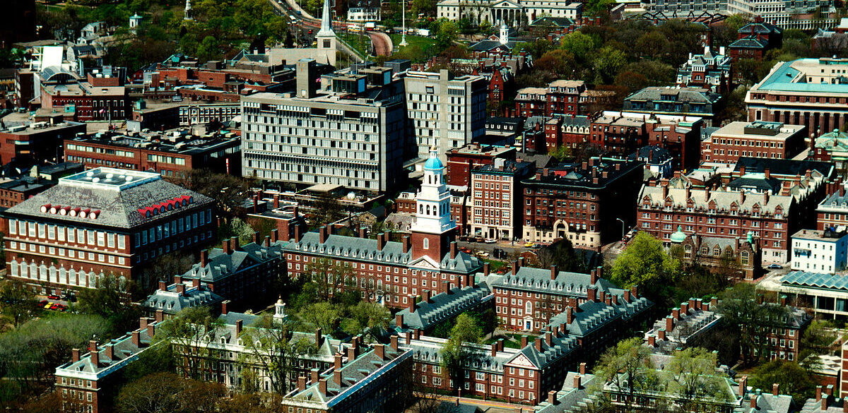 하버드 조기 합격률 7.9% 합격자 4명중 1명 아시안