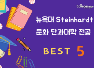 뉴욕대(NYU) Steinhardt 단과대학 인기 전공 5
