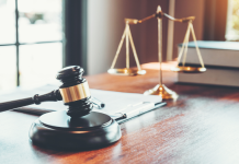 법조인 희망 학생, 학생회·모델UN·디베이트 추천