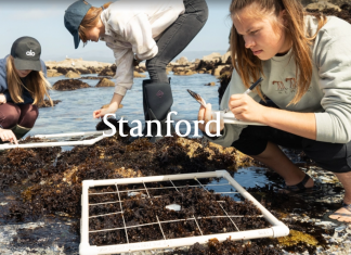 스탠퍼드 인터뷰, 옵셔널이지만 잘 하면 ‘플러스’