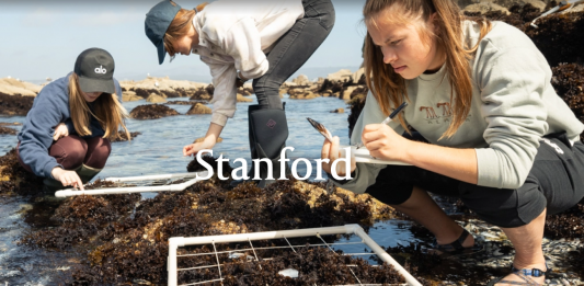 스탠퍼드 인터뷰, 옵셔널이지만 잘 하면 ‘플러스’