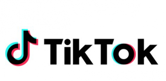 “틱톡, 18세 미만은 60분만 하세요”