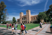 막연한 꿈이 구체적 목표가 될 수 있는 대학 탐방