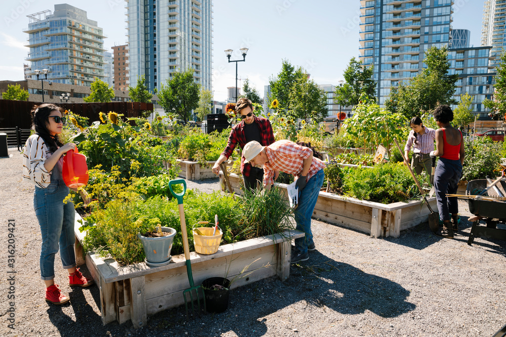 주 15시간 봉사하면 최대 1만불…가주 대학생 몰리는 이유 Man teaching gardening to young adults in sunny, urban community garden