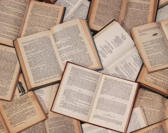 어린시절 책 읽기는 명문대 입학 지름길