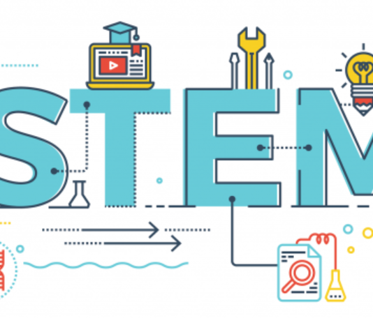 STEM 전공 연봉 높다…연봉 금액은?