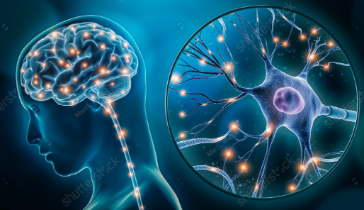 photo credit: shutterstock