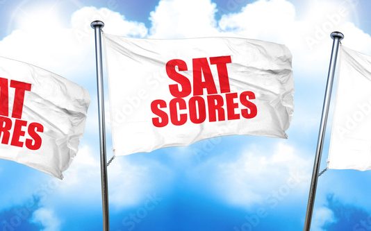 SAT 응시 10% 증가, 점수는 22점 하락 sat scores, 3D rendering, triple flags
