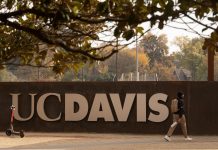 새롭게 설립되는 UC Davis 비즈니스 학부에 대해 알아보자