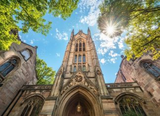 예일대 조기전형 지원자 14% 감소 A stunning view of the Yale University campus showcasing its historic architecture and vibrant greenery under a bright blue sky