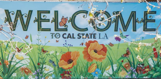 DEI(다양성·형평성·포용성) 폐지 압박에 대학들 ‘묘안 찾기’ 고심