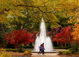 UGA 입학 갈수록 ‘별따기’…올해 사상 최다 지원