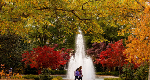 UGA 입학 갈수록 ‘별따기’…올해 사상 최다 지원