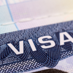 학생비자 취소 폭발적 증가