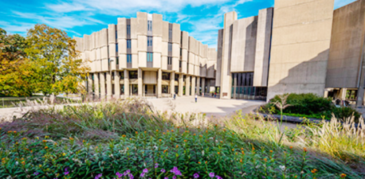 IL 소재 대학 다수 세계 최고 대학 올라