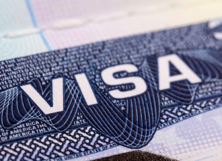 유학생·교환방문 비자 발급 전년 대비 급감