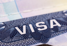 조지아 유학생 뚝… 비자 대란 우려 현실화