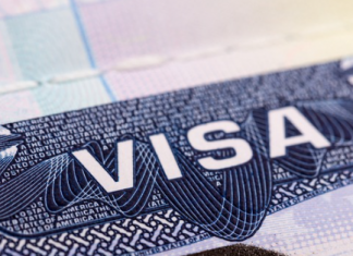 조지아 유학생 뚝… 비자 대란 우려 현실화